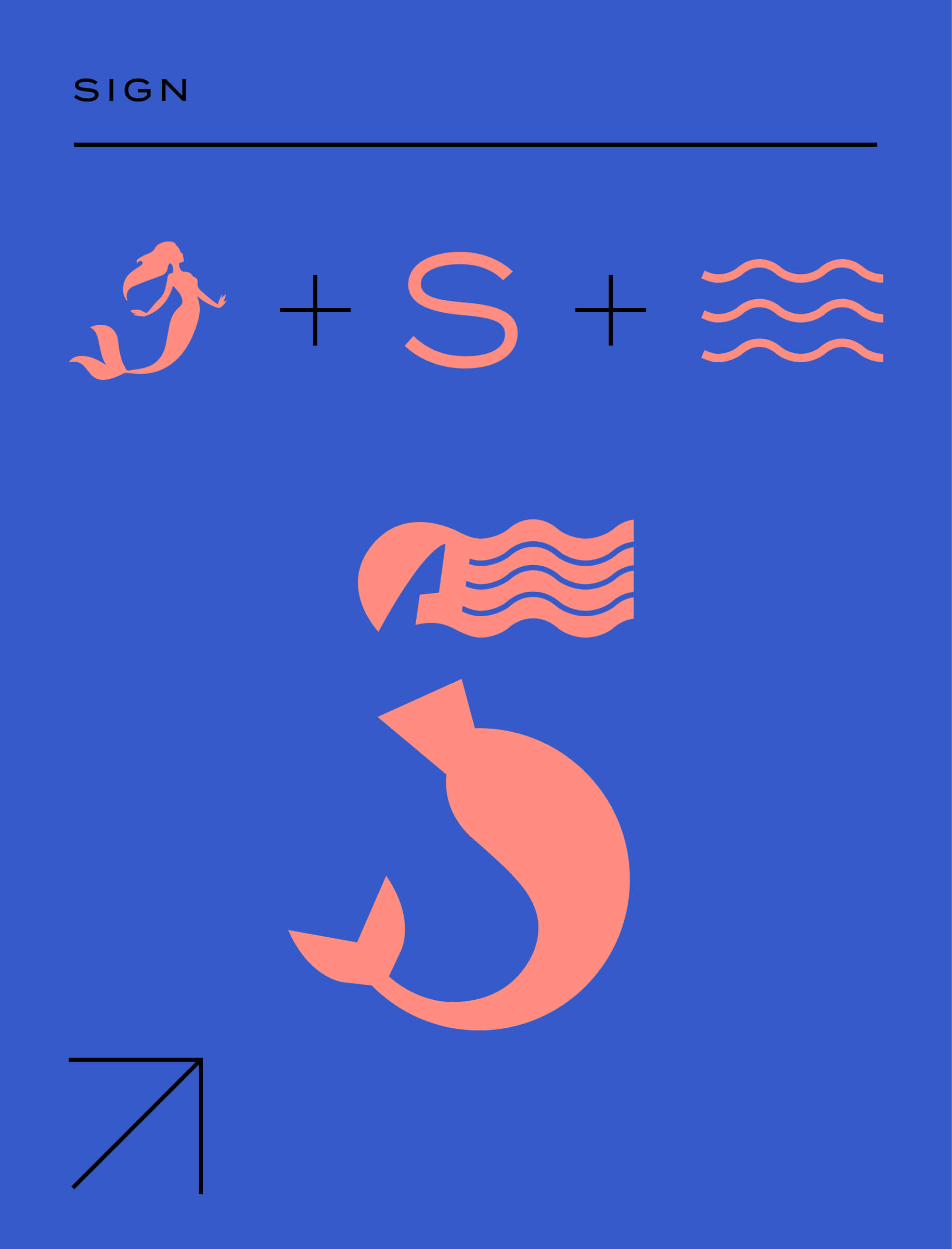 sintje17