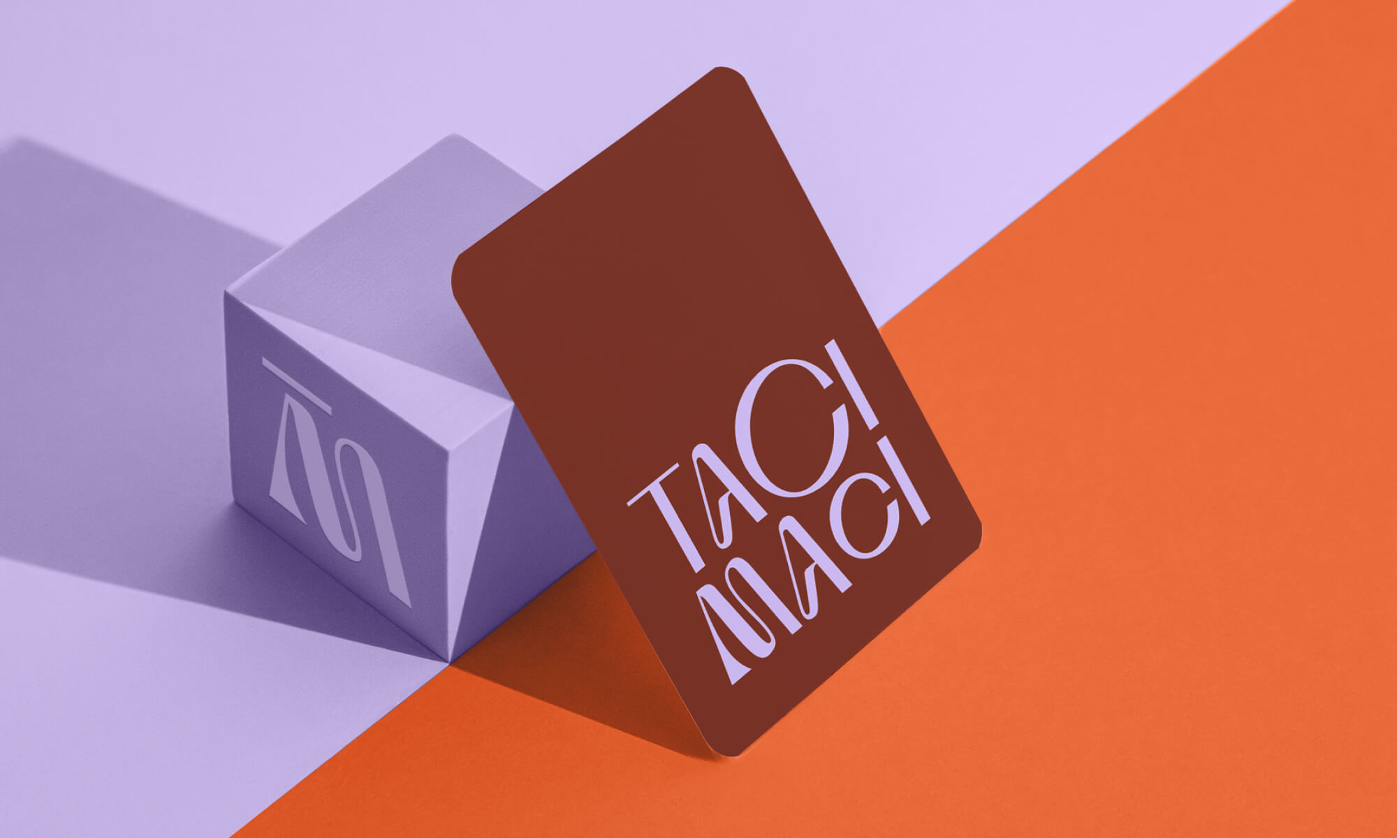 Taci Maci 28 Taci Maci 28