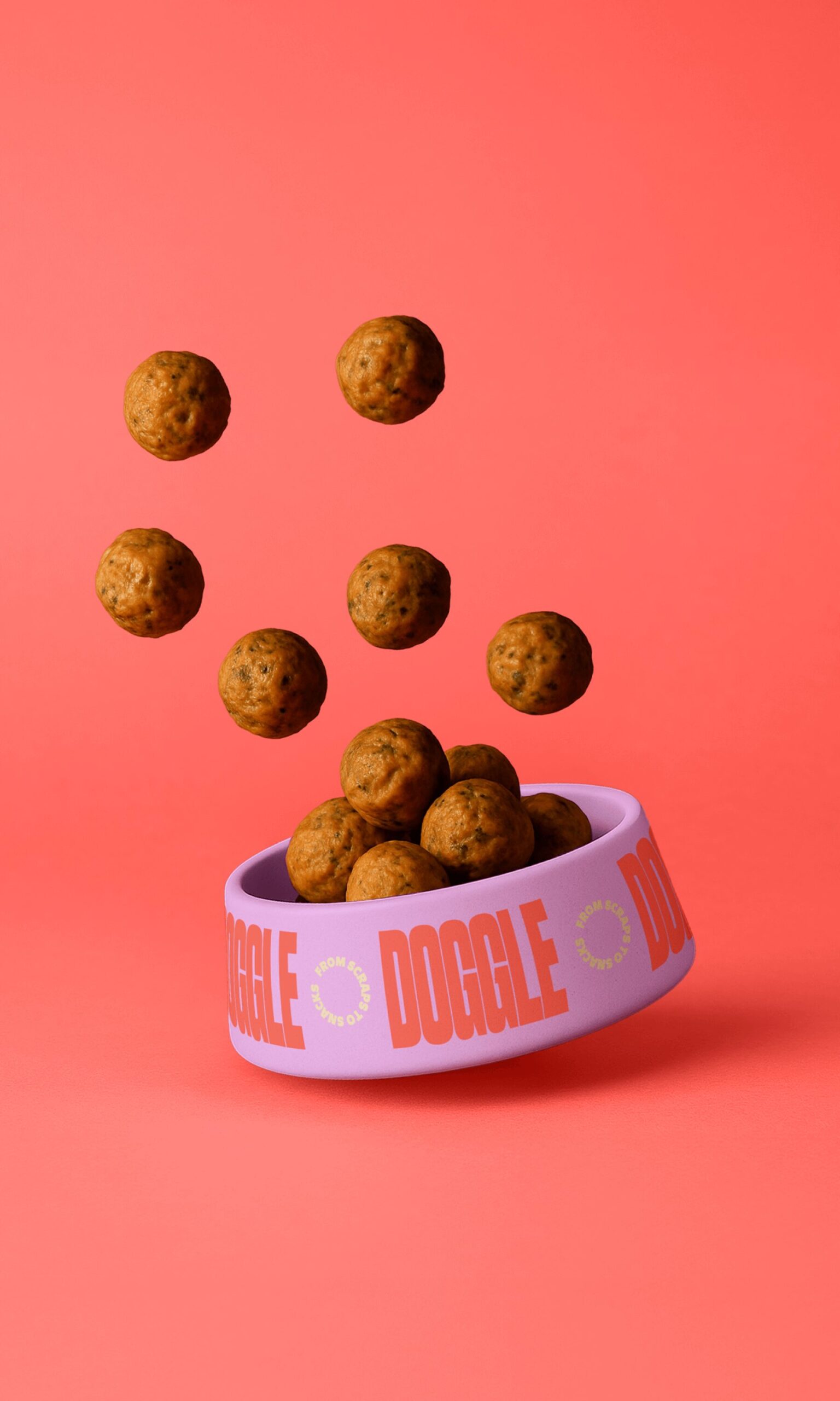 Doggle 14 Doggle 14