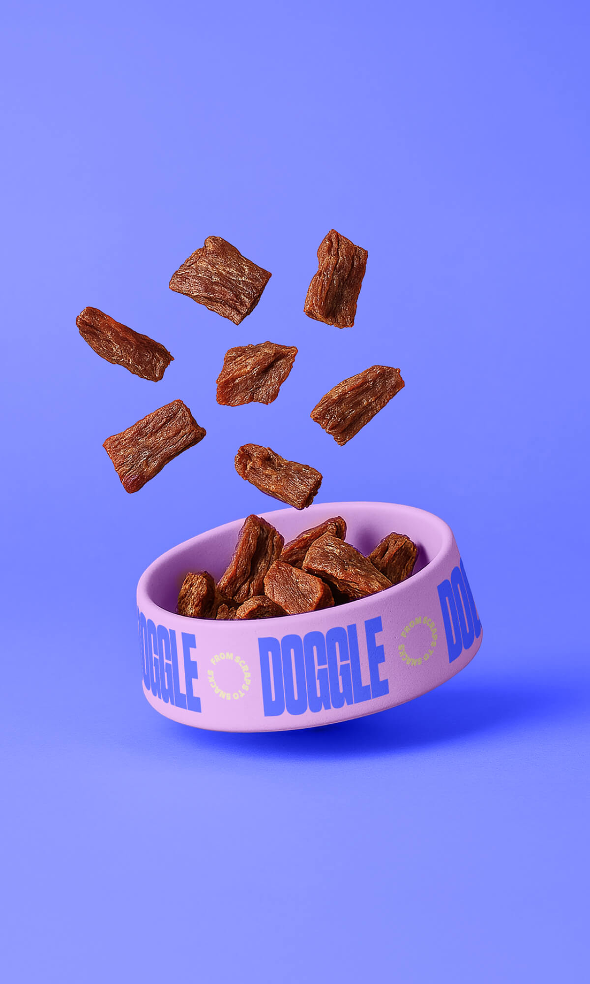 Doggle 7 Doggle 7