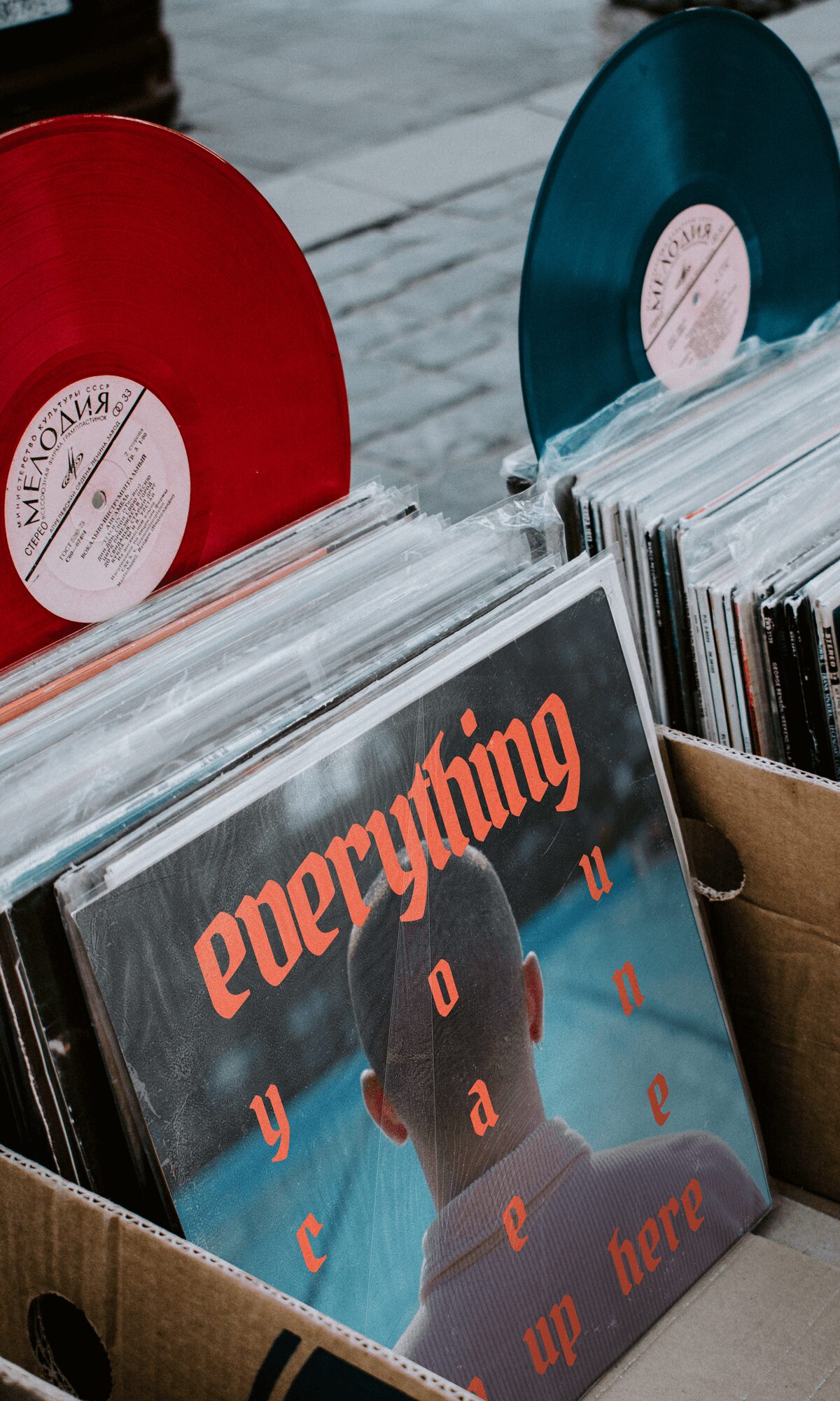 Everything you can see from up here – Single – Vinyl Everything you can see from up here - Single - Vinyl
